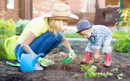 quoi planter en septembre fraisier guide du jardinier débutant