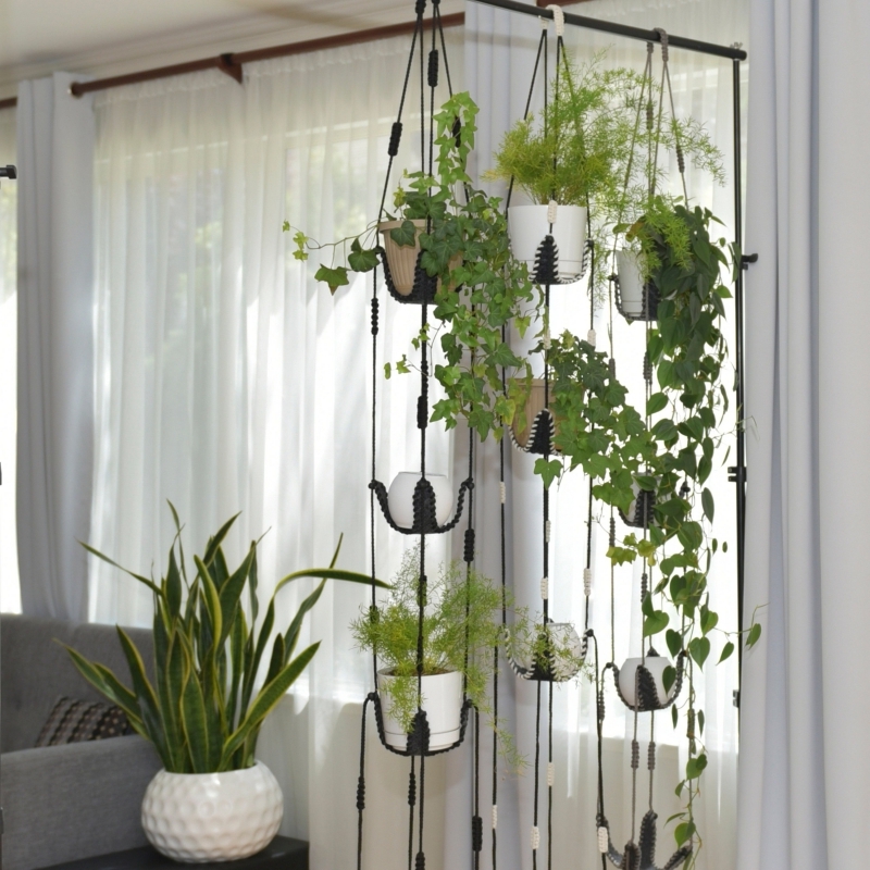 rideaux blancs salon canapé gris plante interieur retombante suspension corde