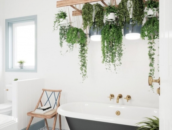 salle de bain avec plante grasse retombante interieur rail bois crochets