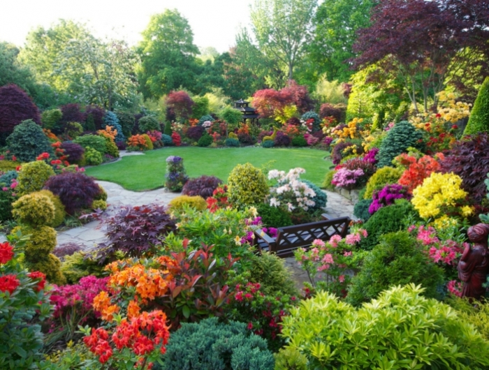 sulfate de magnesium jardin un jardin fleuri en couleurs différentes