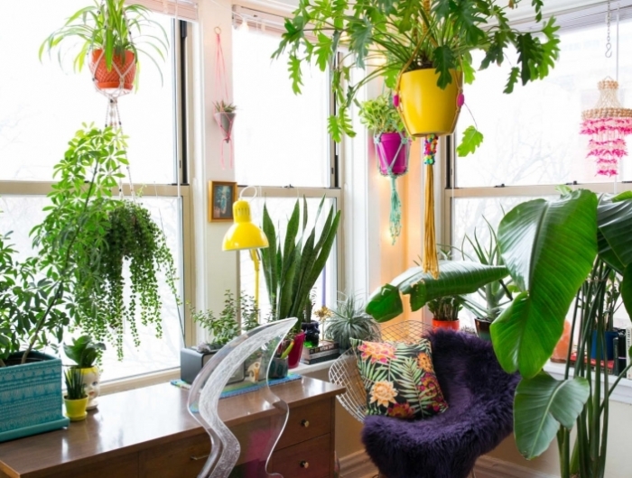 suspension macramé crochets adhésifs plantes vertes d intérieur