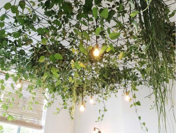 suspension pour plante interieur grille métal plafond suspendu