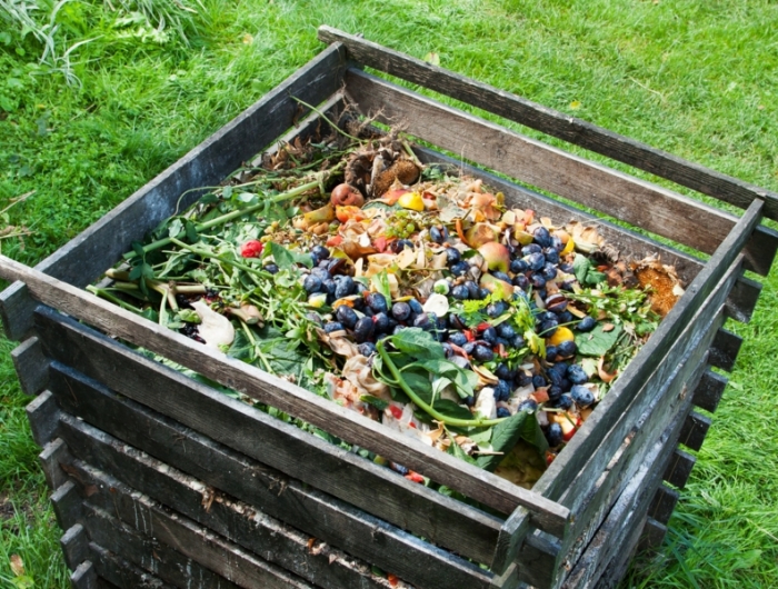 utilisation purin d ortie un compost pour le jardin