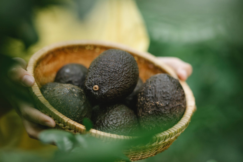 brown avocado how to use it for cooking what to add