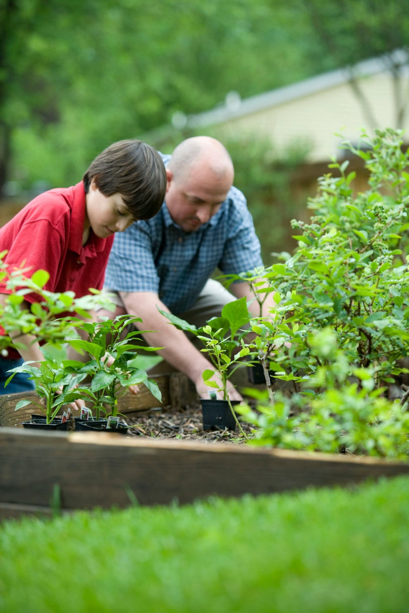 cendre dans compost un enfant et son père qui s occupent du jardin