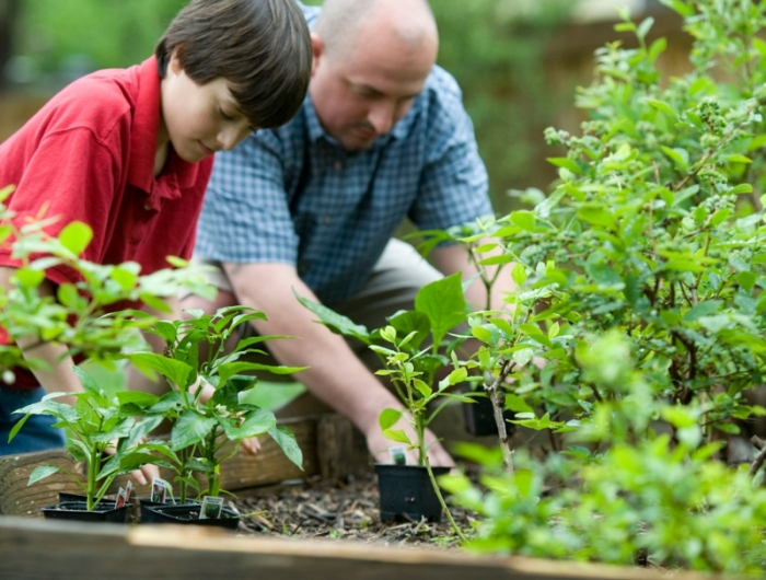 cendre dans compost un enfant et son père qui s occupent du jardin