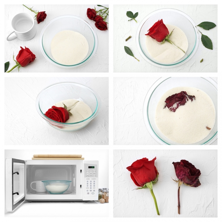 Comment faire sécher des fleurs ? Une ode aux fleurs fanées