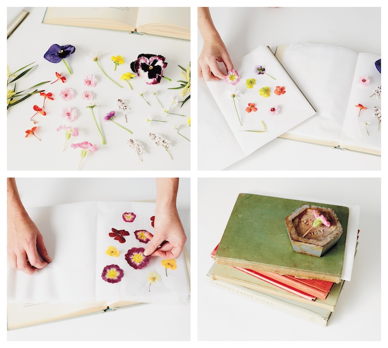 comment faire sécher des fleurs plates dans un livre et objet lourd