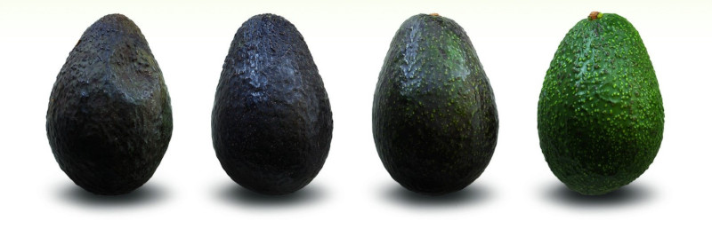 how to tell if an avocado is ripe the difference between a ripe and unripe avocado