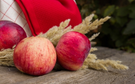 conservation pommes quelques pommes grandes et rouges