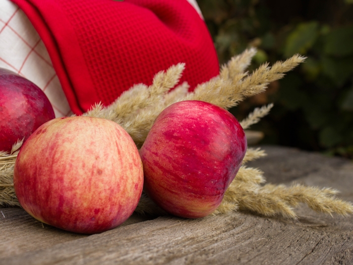 conservation pommes quelques pommes grandes et rouges