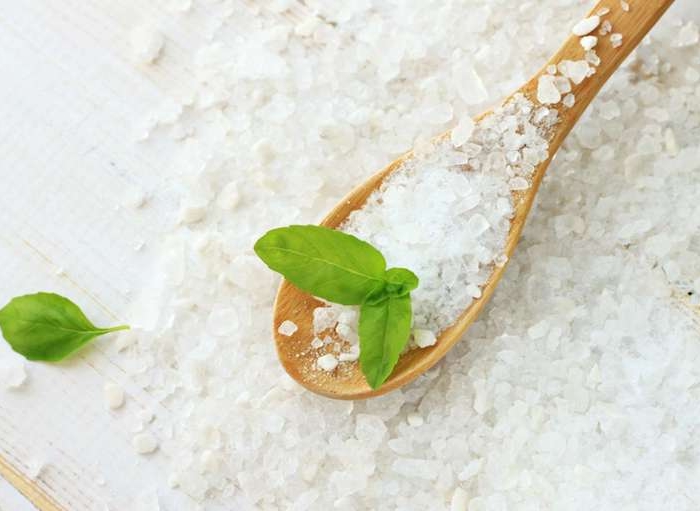 conserver des feuilles de basilic dans du sel idée avoir basilic en hiver