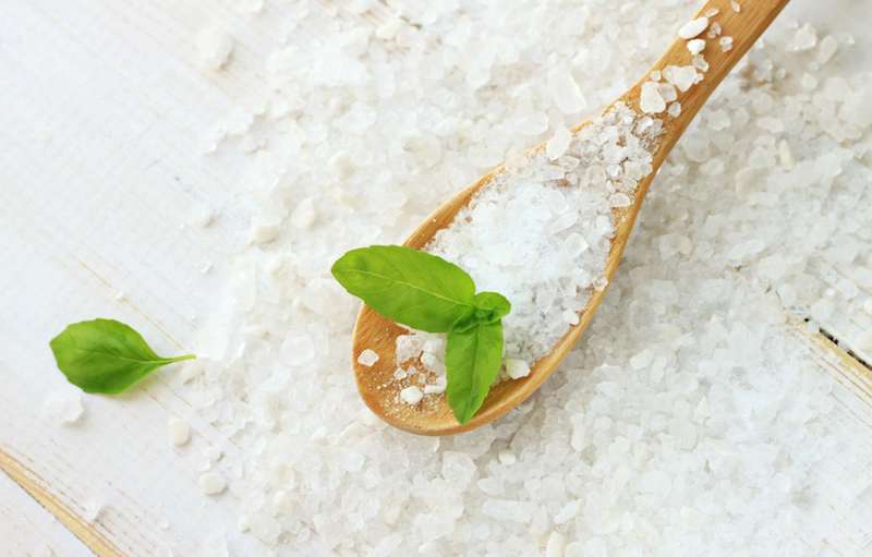 conserver des feuilles de basilic dans du sel idée avoir basilic en hiver