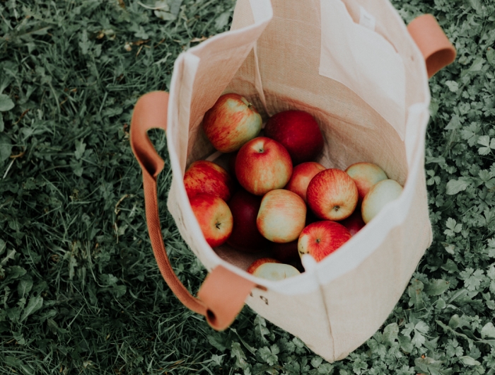 cueillette de pomme des pommes dans un sac de tissu