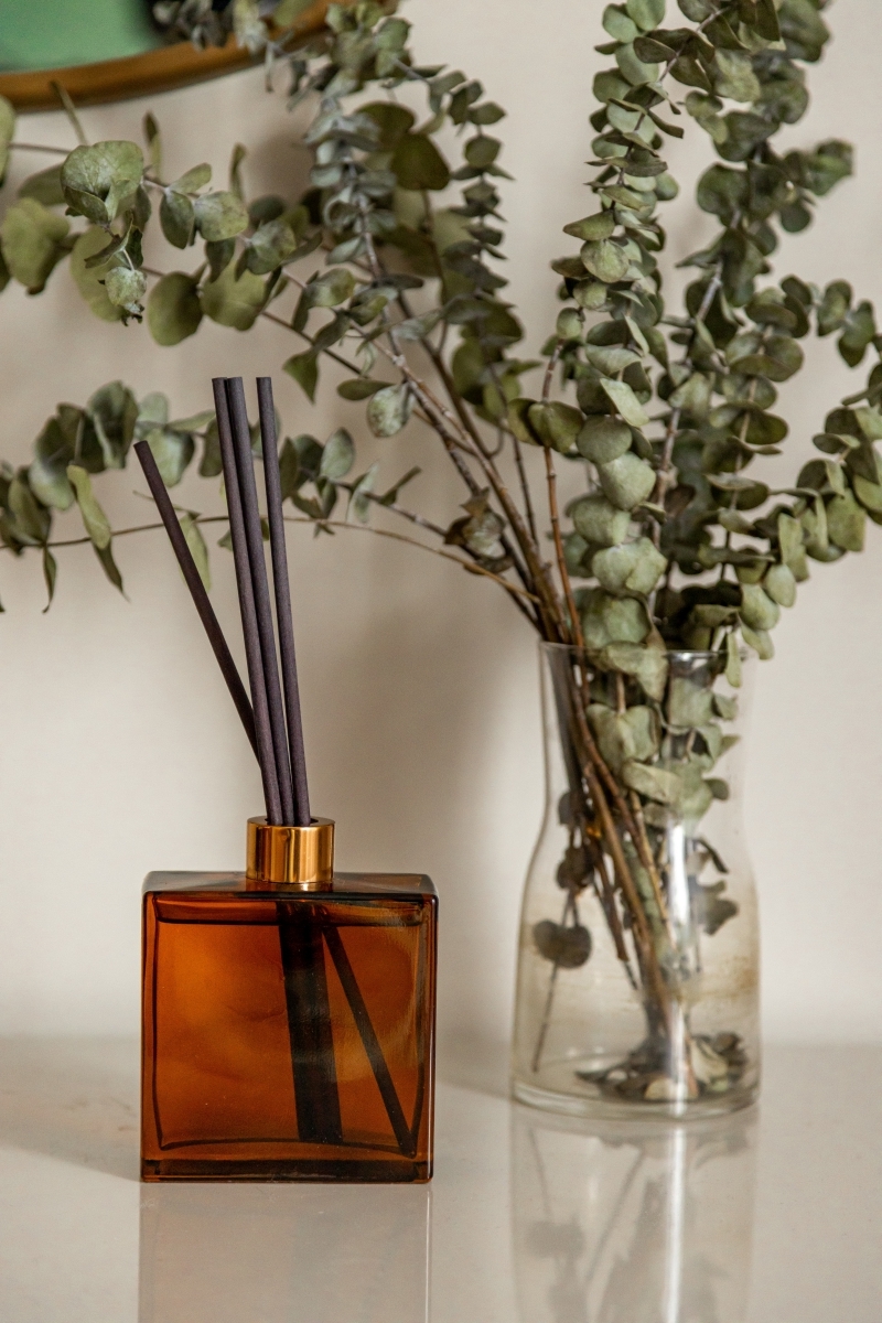 diffuseur de parfum maison brindilles eucalyptus contenant verre