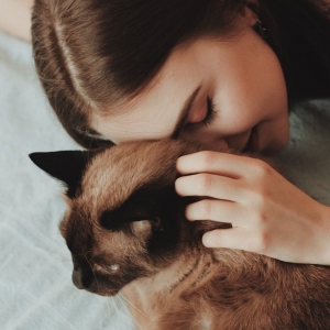 Le Chat Maine Coon Presente En 69 Photos Amusantes Archzine Fr