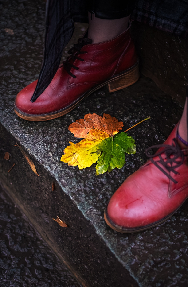 femme élégante deux chaussures de l automne et une feuille multicolore