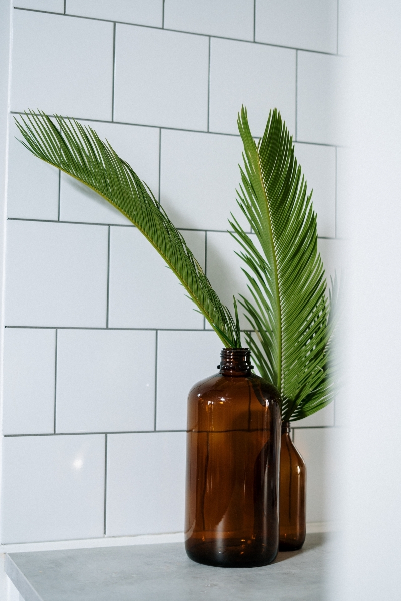 feuilles palmier bouteille verre nettoyer joint salle de bain