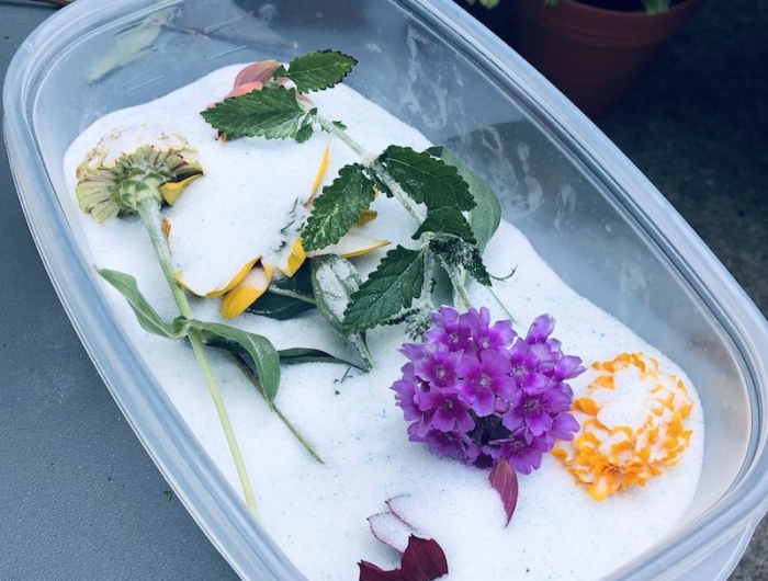 gel de silicium ou comment faire secher des roses et autres fleurs