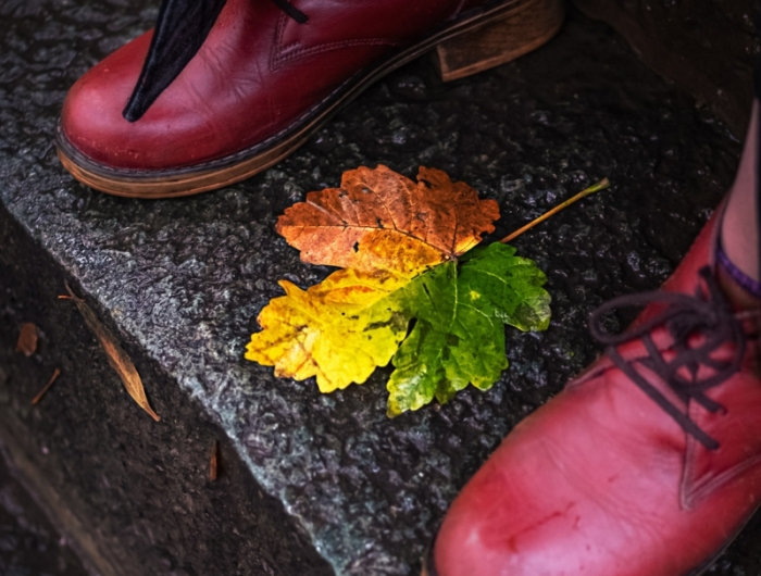 omid armin npxnqbpz 1m unsplash