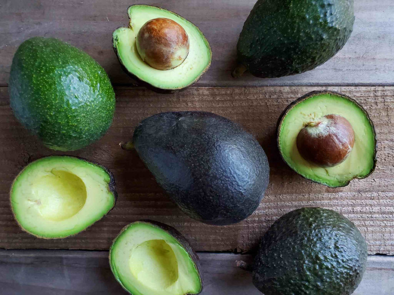 plant an avocado how to maintain and care for it have your own avocados