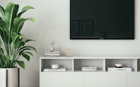 plante verte d intérieur nettoyer ecran tele meuble blanc