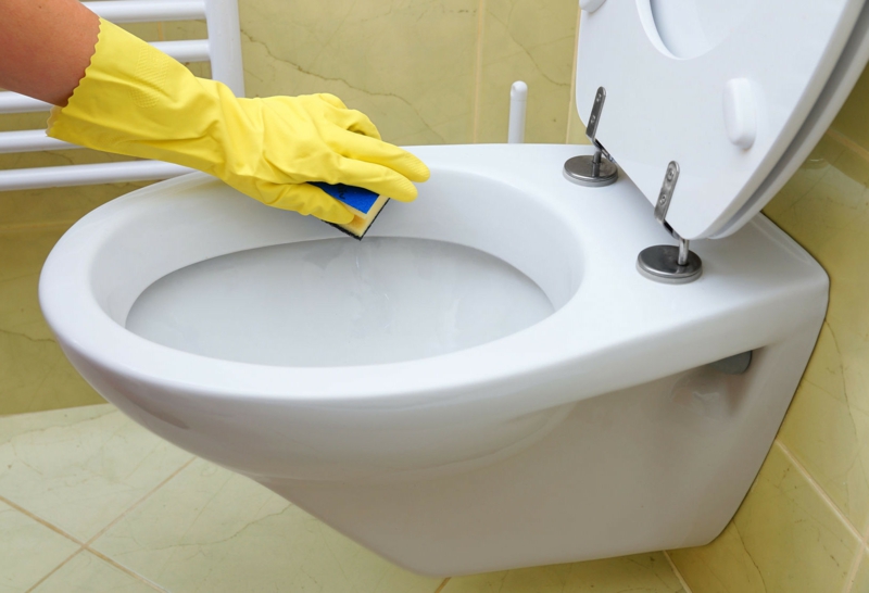 vinaigre blanc et vinaigre d alcool nettoyer les toilettes avec une éponge