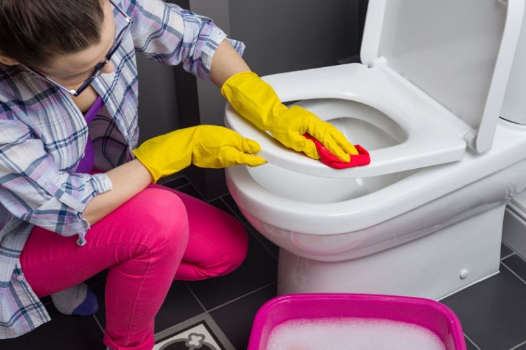 acide citrique wc produit maison efficace pour des toilettes toutes blanches #2