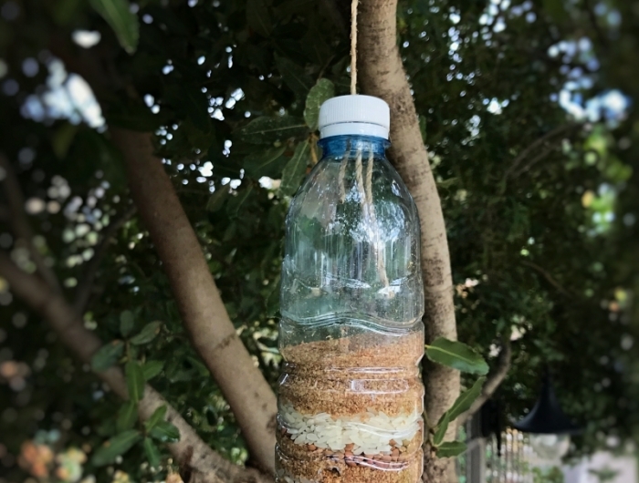 arbre jardin fabriquer mangeoire oiseaux en bouteille de plastique