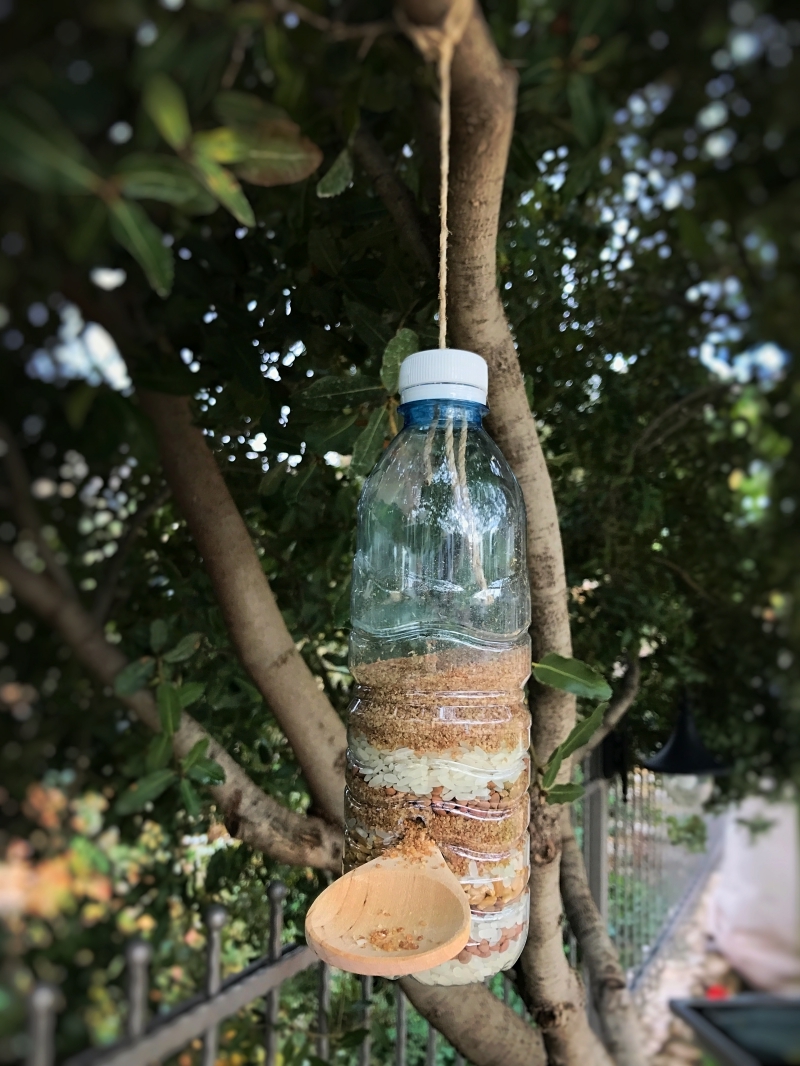 arbre jardin fabriquer mangeoire oiseaux en bouteille de plastique