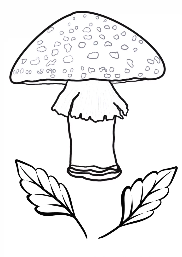 coloriage automne enfant champignon deux feuilles