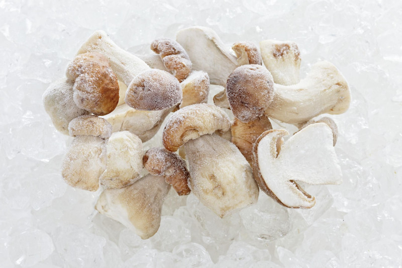 freezing morel mushrooms fresh how to freeze and preserve mushrooms