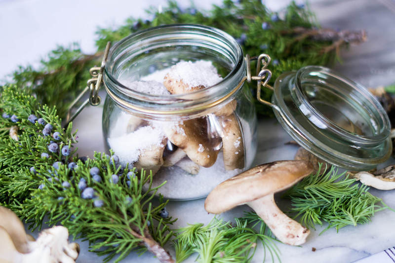 comment conserver des champignons frais au gros sel dans un bocal pot en verre