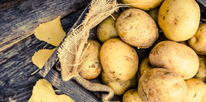comment conserver les pommes de terre sans qu elles germent