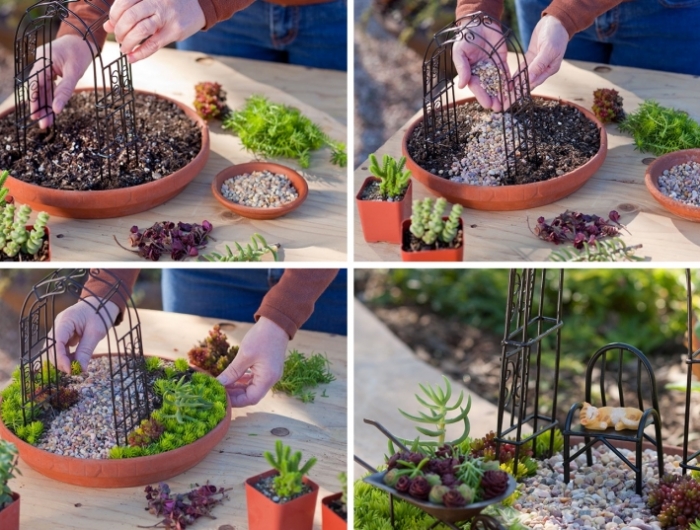 comment créer un mini jardin de plantes grasses tutoriel facile