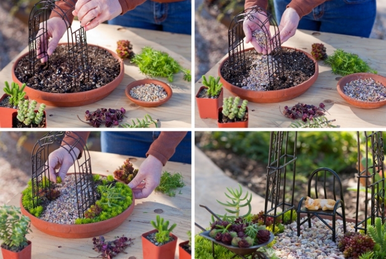 Créer un mini jardin de plantes grasses : les secrets pour faire son