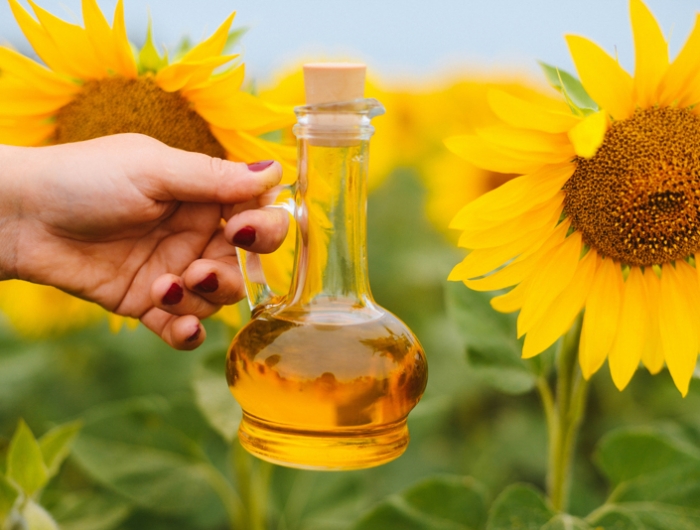 cropped hand of woman holding cooking oil in jar at sunflower farm