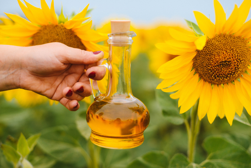 cropped hand of woman holding cooking oil in jar at sunflower farm