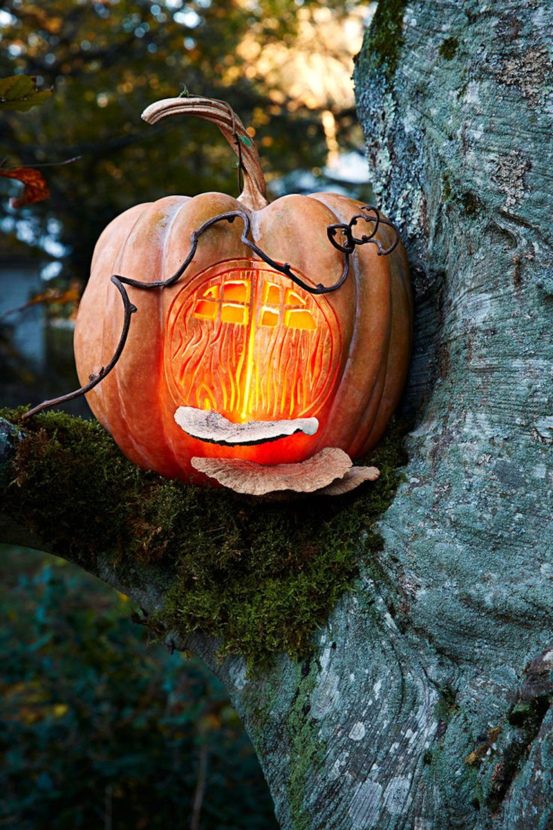 decoration citrouille sculptée placée sur un arbre en guise de lanterne