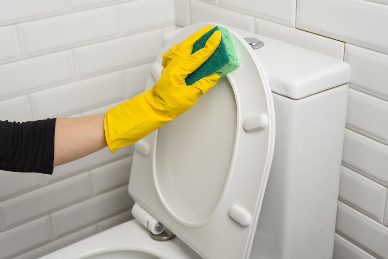 dertrer toilette bien nettoyer avec des produits naturels sans composants chimiques