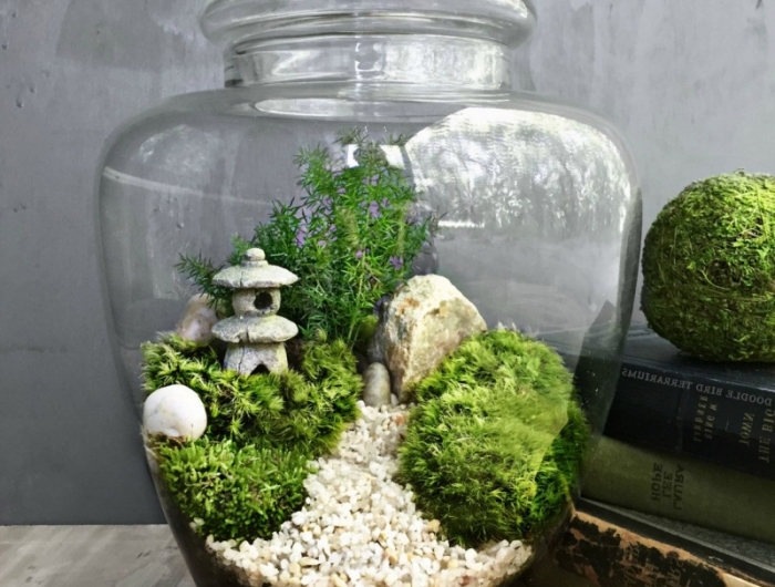 diy terrarium fermé contenant en verre couvercle succulentes