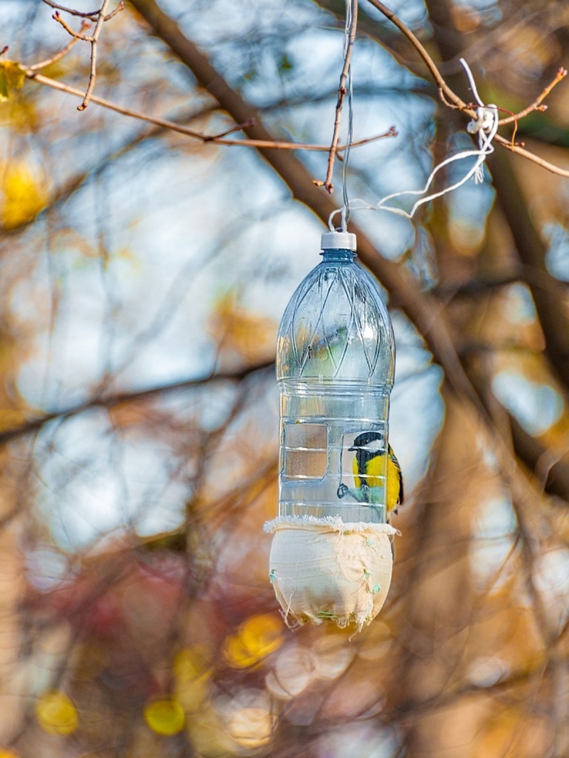 fabriquer une mangeoirе à oiseaux activité manuelle automne