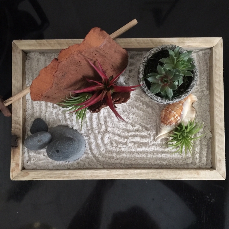 jardin japonais miniature sable pierre plantes aériennes succulentes