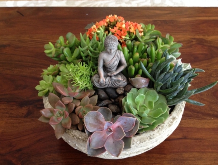 jardin zen miniature plante grasse a fleur contenant rond