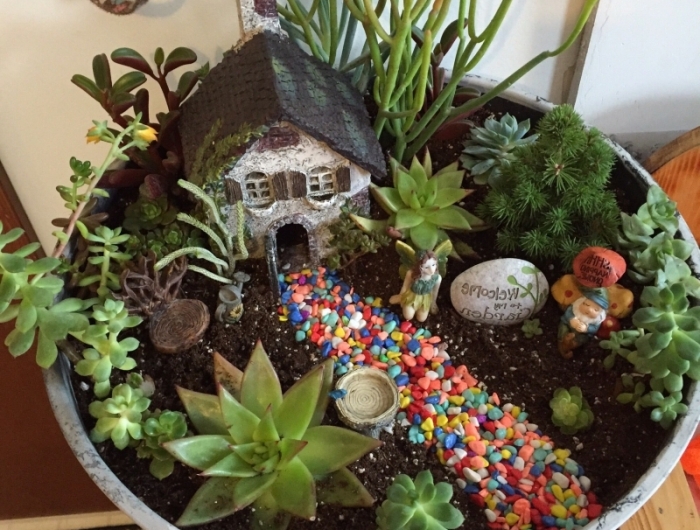 massif plantes grasses en miniature figurine fée maison
