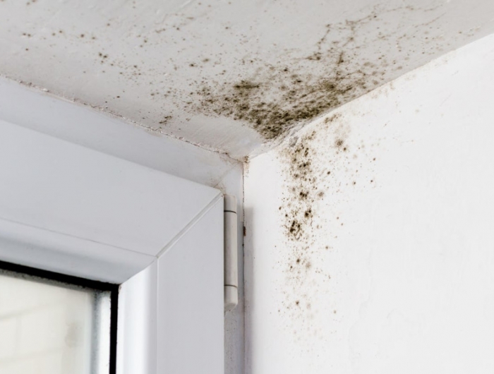 moisissure plafond salle de bain taches noires produit efficace