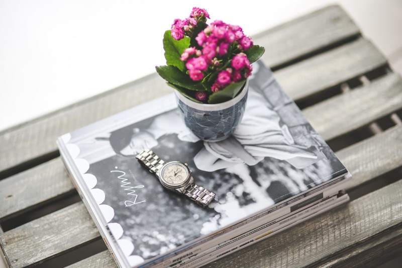 montre de luxe sur des magazines table d appoint en bois clair decoree d un pot de fleur intérieur