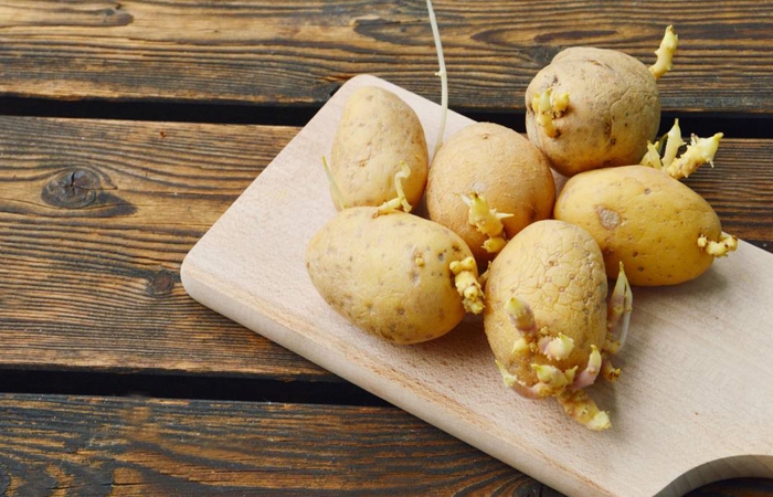peut on manger des pommes de terre germées pommes de terres sur une planche de bois