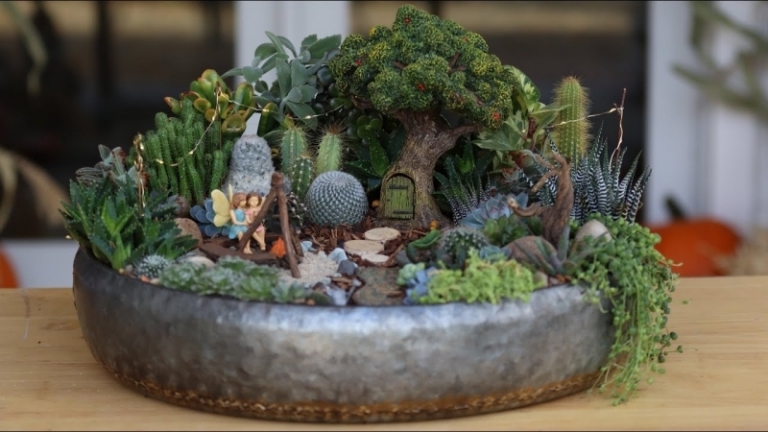 Créer un mini jardin de plantes grasses : les secrets pour faire son
