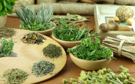 plantes aromatiques vivaces herbes séchées sur la table